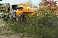 Monster Tree Service of the Upper Ohio Valley image 11